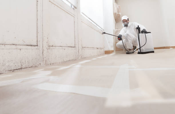 24/7 Emergency Mold Removal experts in Vienna, VA